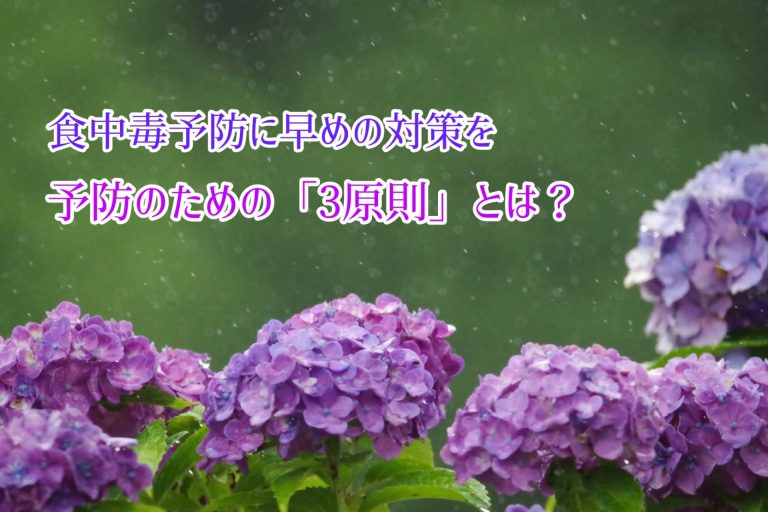 夏を前に気をつけたい「食中毒」！気をつけるポイントは？